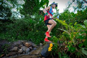 BIB: 1037, 
                            <button type="button" onclick="openModal(15974669)" class="btn btn-primary btn-sm float-right btn-popup" data-toggle="modal" data-target=".modal-high-quality">
                        <i class="fas fa-shopping-cart"></i> Add to Cart
                    </button>
                                            <button type="button" onclick="isThisMe(15974669, true)" class="btn btn-success btn-sm float-right btn-popup btn-isme hidden" data-toggle="tooltip" data-placement="bottom" title="นี่คือรูปของคุณใช่ไหม คลิกที่นี่เพื่อเอาเข้าอัลบั้ม">
                        <i class="fas fa-plus"></i> Add to album
                    </button>
                    <button type="button" onclick="isThisMe(15974669, false)" class="btn btn-warning btn-sm float-right btn-popup btn-isnotme hidden">
                        <i class="fas fa-ban"></i> Remove from album
                    </button>